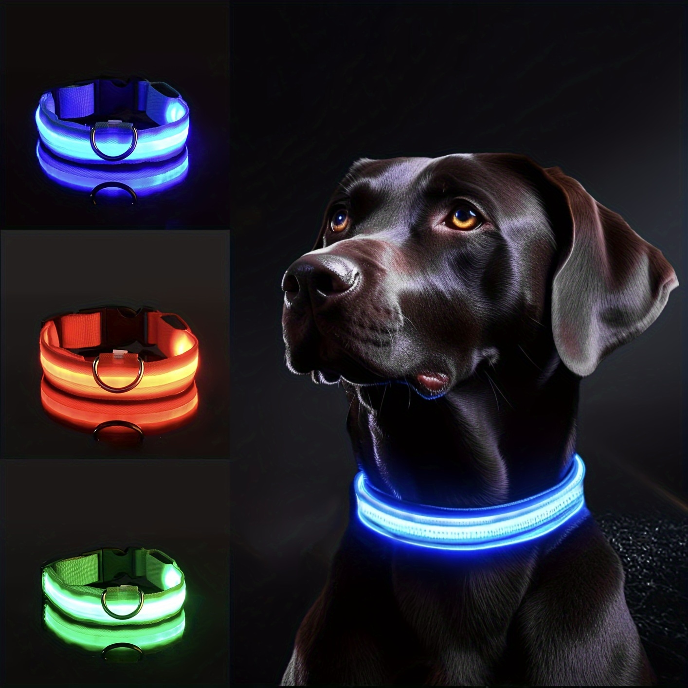 Reflective LED Dog Collar for  - Tech Dog Accessories ulasan dan harga