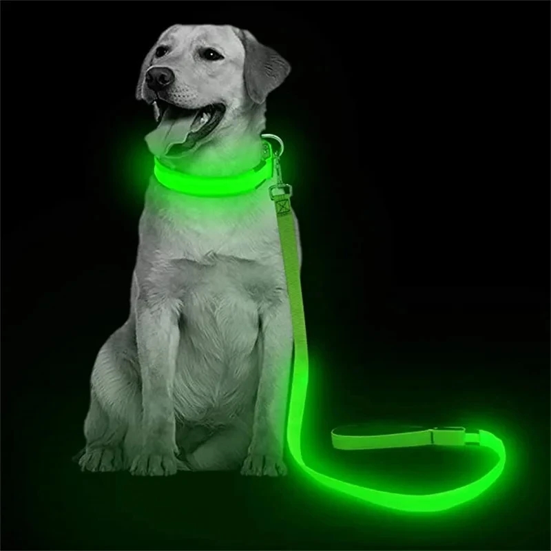 Led Pet Dog Leash Rope With Li - Tech Dog Accessories ulasan dan harga