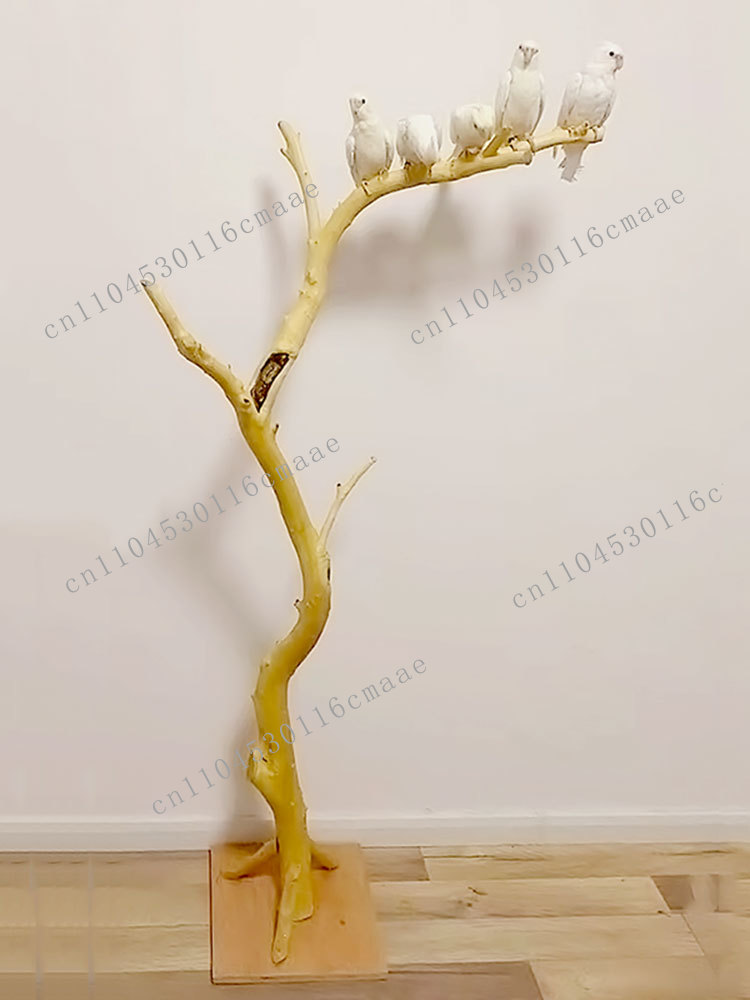 NEW Branch Bird Stand Log Deco - Tech Room Accessories ulasan dan harga