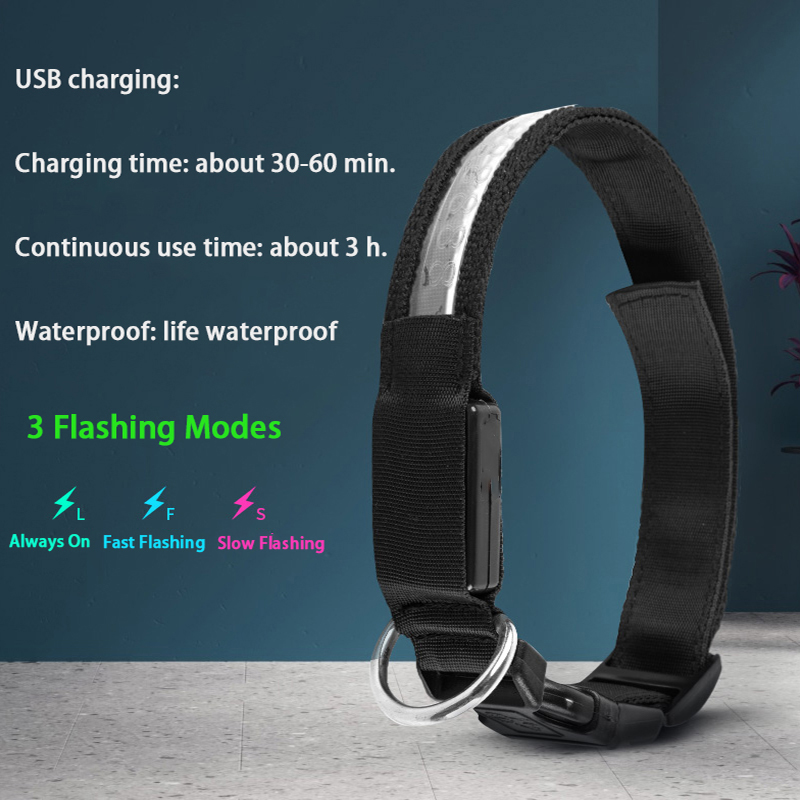 Engraved ID LED Dog Collar Lum - Tech Dog Accessories ulasan dan harga